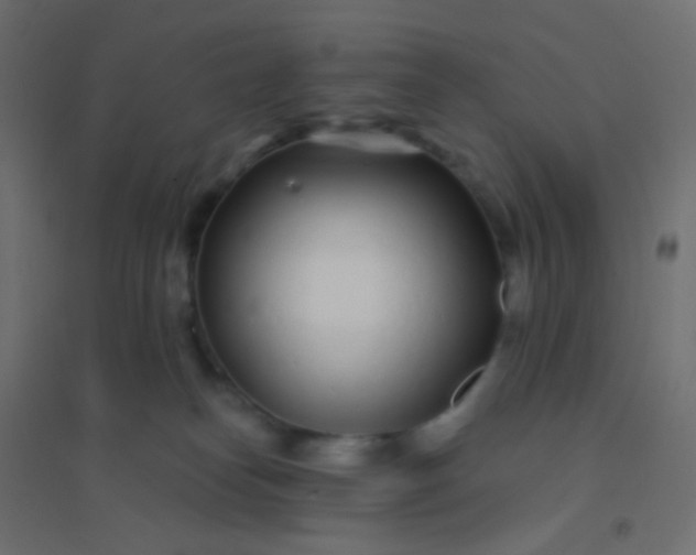 X0000094920182200712131523