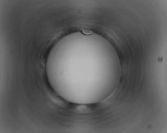 X0000094920183200712131523