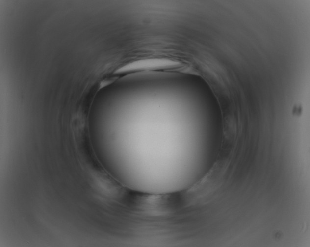 X0000094920184200712131523