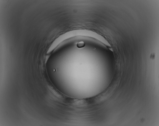 X0000094920185200712131523