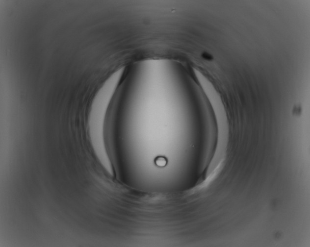 X0000094920186200712131523