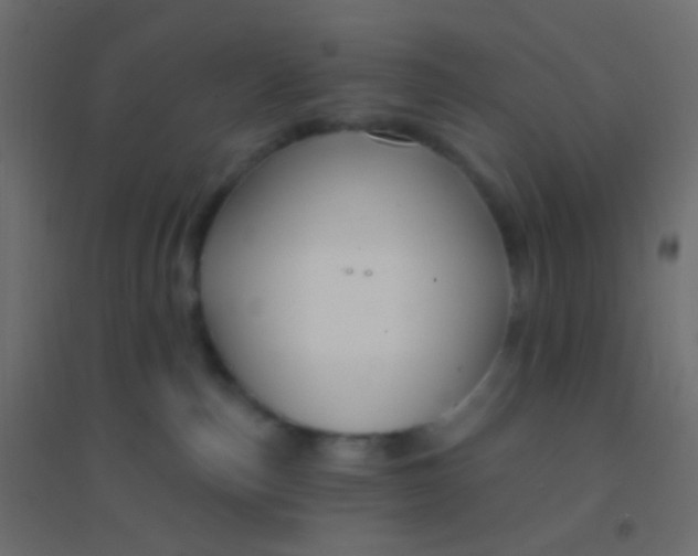 X0000094920187200712131523