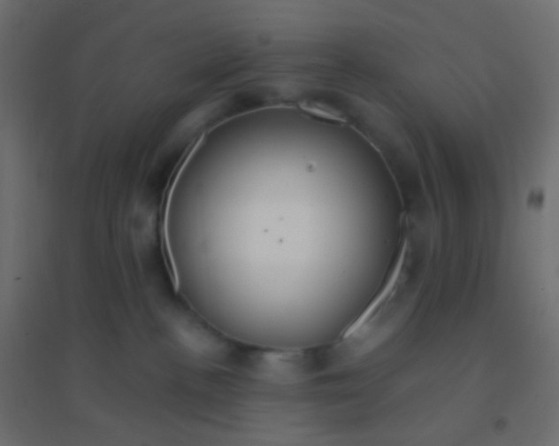 X0000094920188200712131523