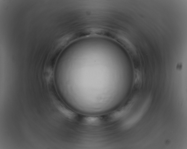 X0000094920189200712131523