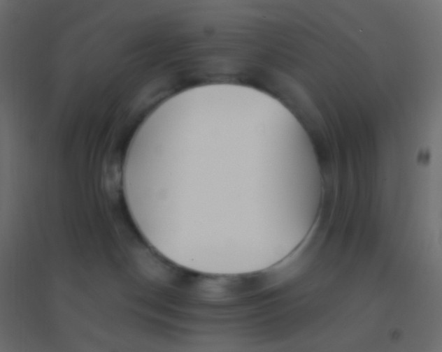 X0000094920190200712131523