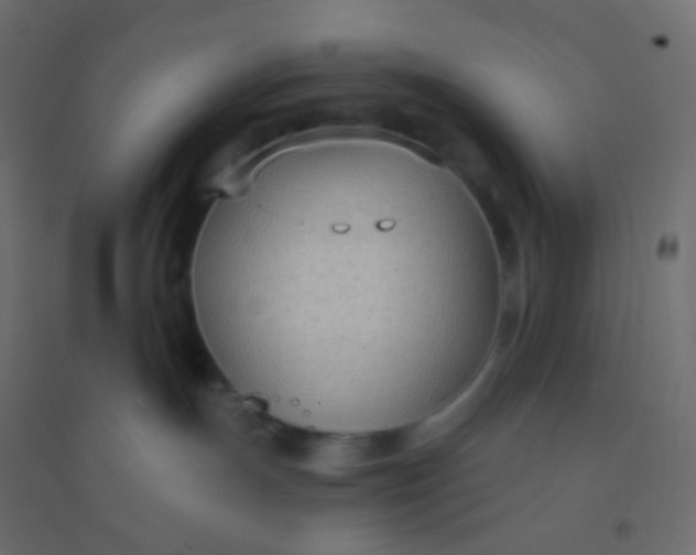 X0000094920191200712131523