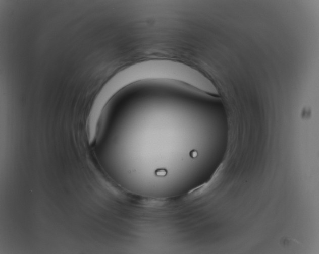 X0000094920192200712131523