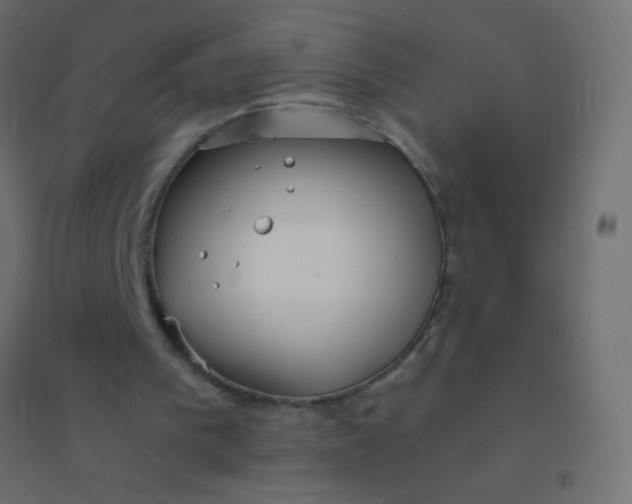 X0000094920193200712131522