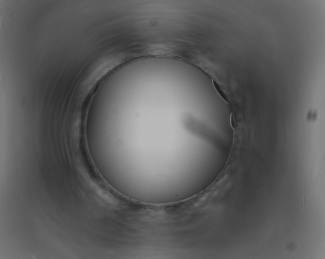 X0000094920194200712131522