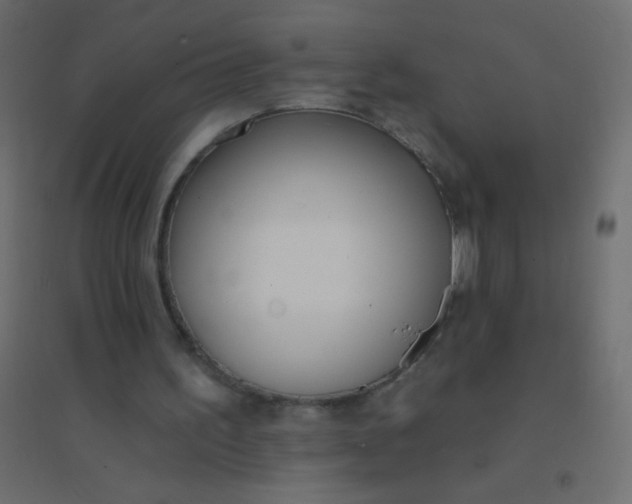 X0000094920195200712131522