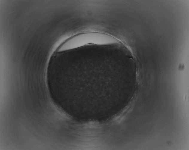 X0000094920196200712131522