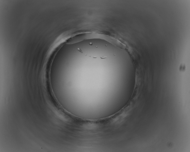 X0000094920198200712131522