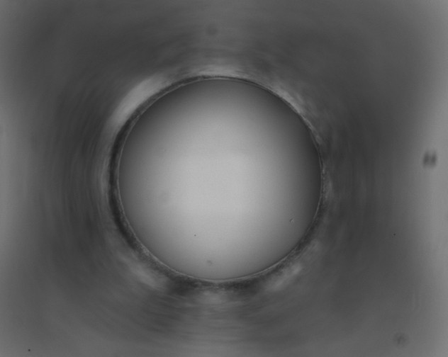 X0000094920199200712131522