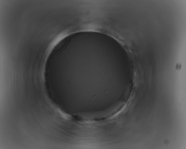 X0000094920200200712131522