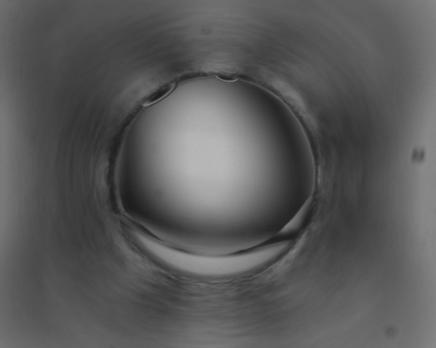 X0000094920201200712131522