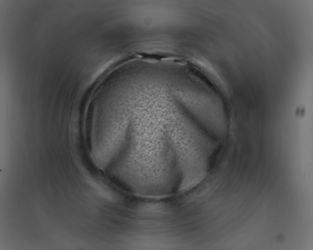 X0000094920202200712131522