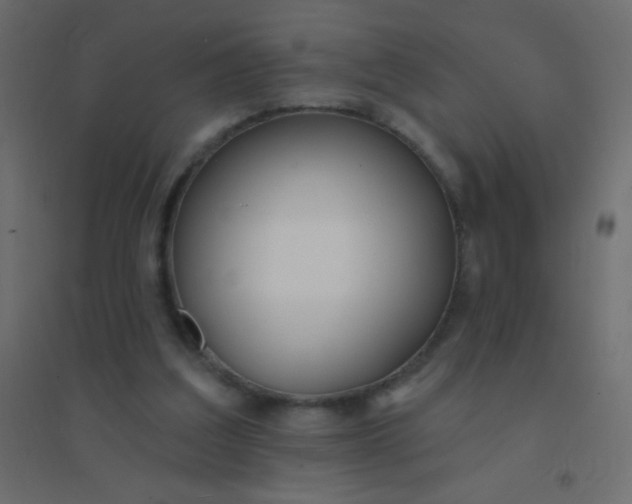 X0000094920203200712131522