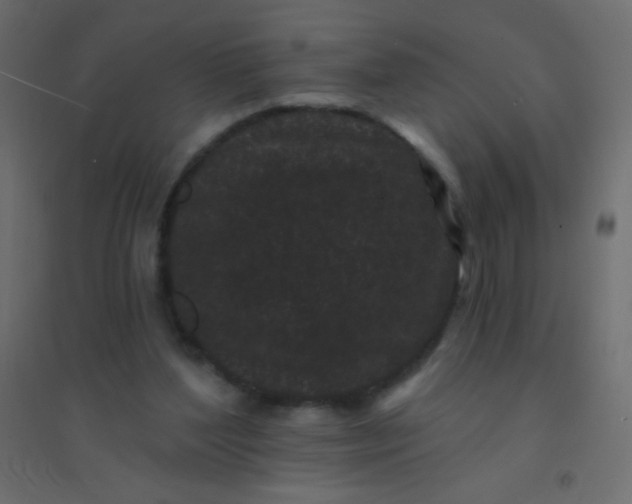 X0000094920204200712131522