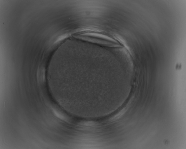 X0000094920205200712131522