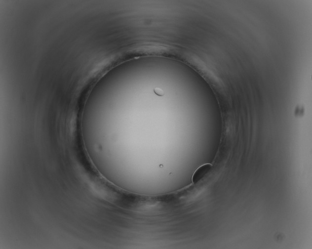 X0000094920206200712131522