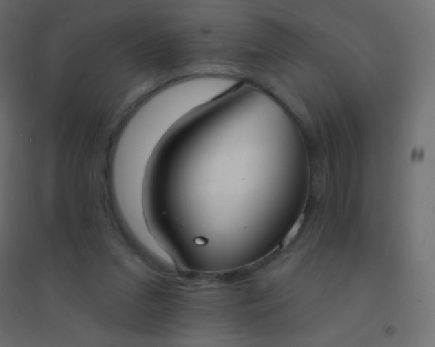 X0000094920207200712131522