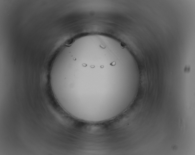 X0000094920208200712131522