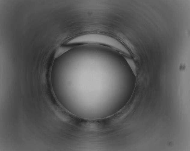 X0000094920209200712131522