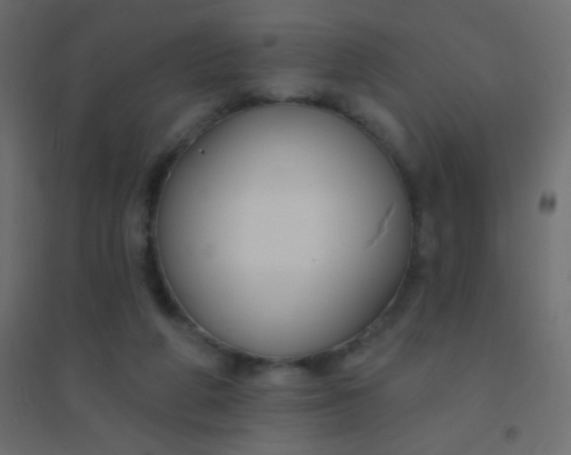 X0000094920210200712131522