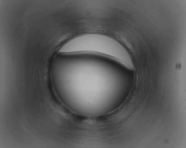 X0000094920211200712131522