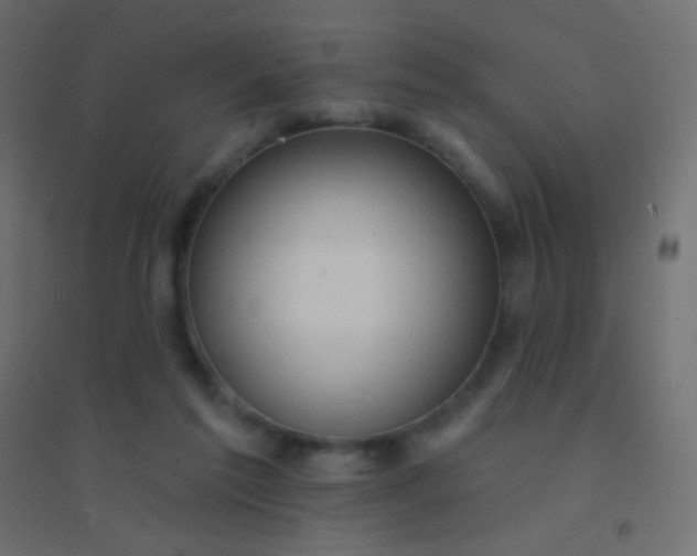 X0000094920213200712131522