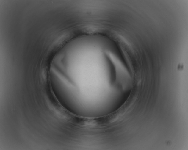 X0000094920214200712131522