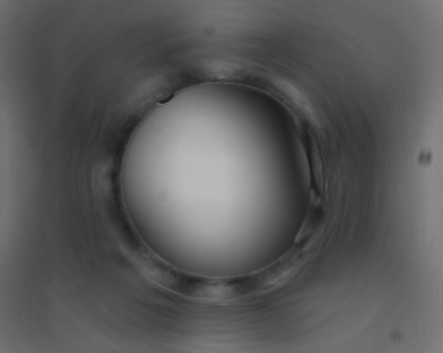 X0000094920217200712131522