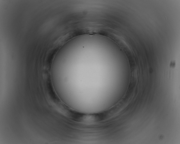 X0000094920218200712131522