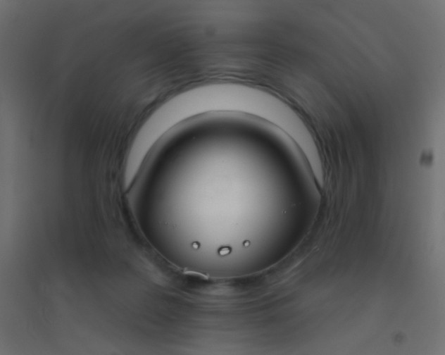 X0000094920219200712131522