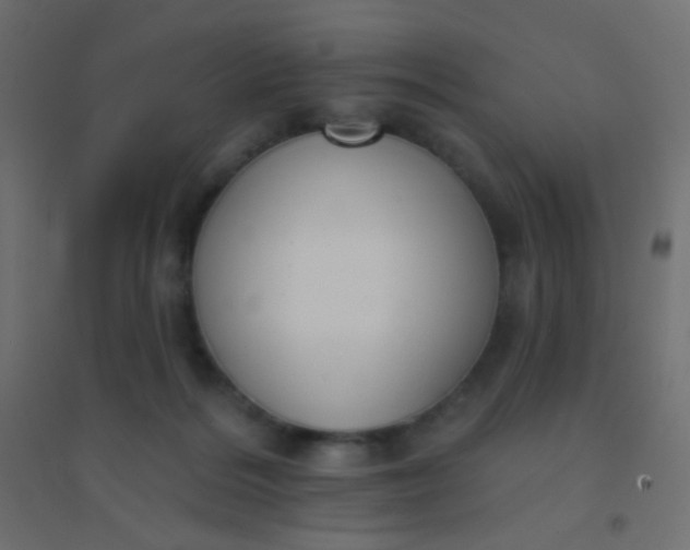 X0000094920220200712131522