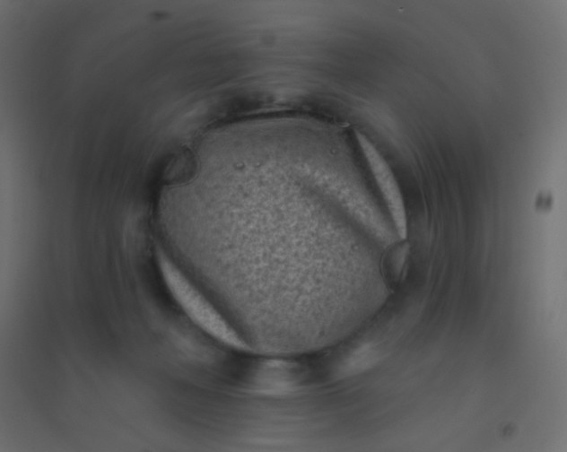 X0000094920222200712131522