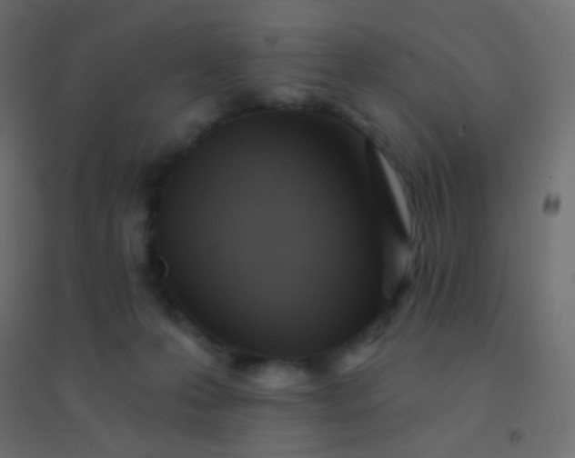 X0000094920223200712131522