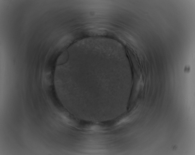 X0000094920224200712131522