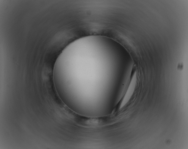 X0000094920225200712131522