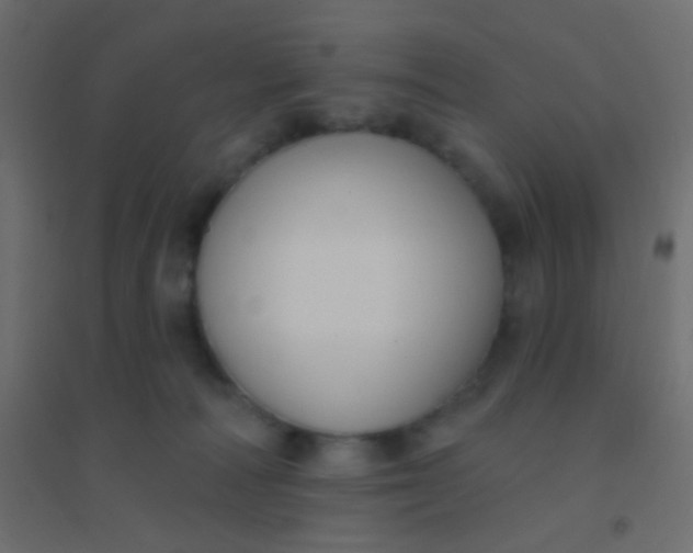 X0000094920226200712131522