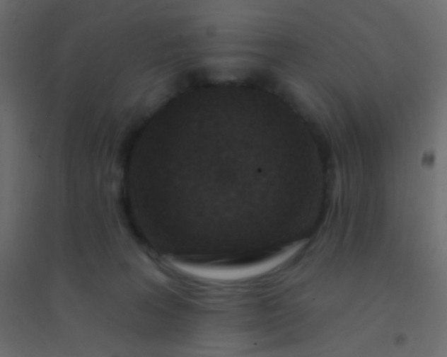 X0000094920227200712131522