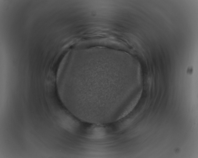 X0000094920228200712131522