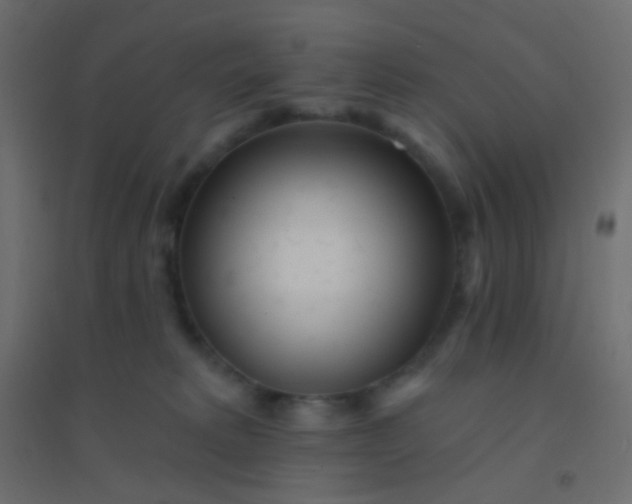 X0000094920229200712131522