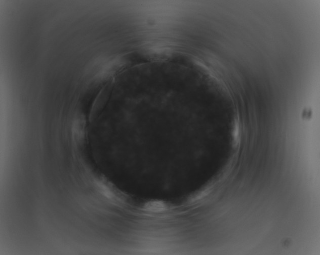 X0000094920231200712131522