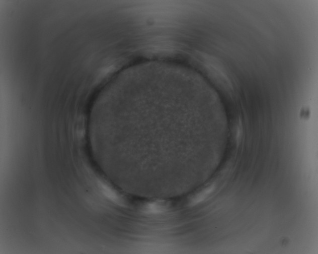 X0000094920232200712131522