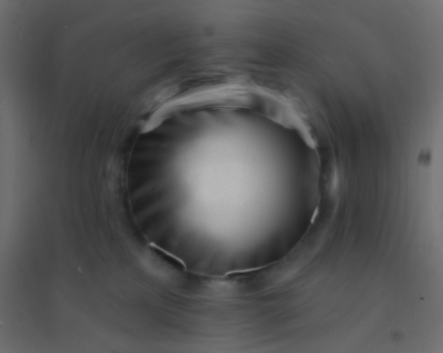 X0000094920233200712131522