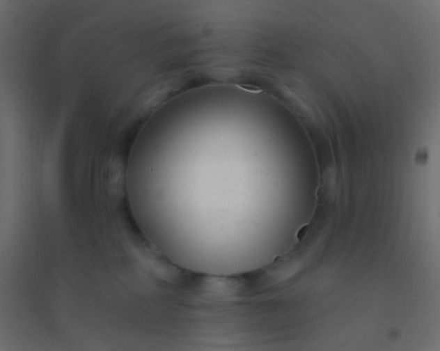 X0000094920234200712131522