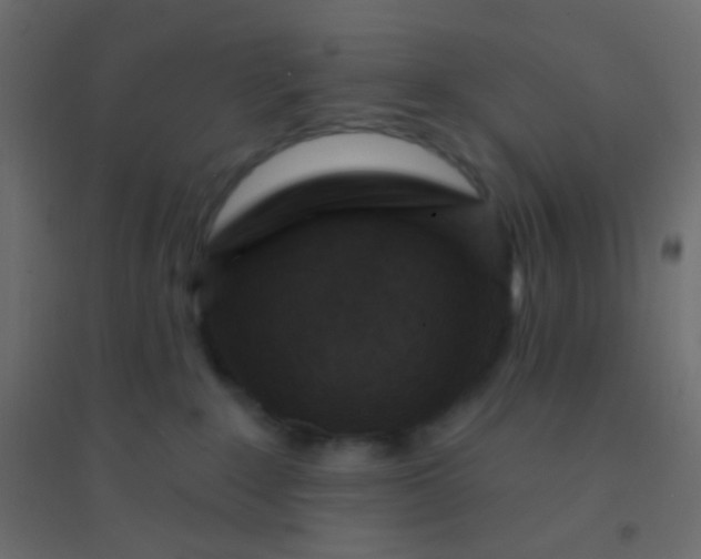 X0000094920235200712131522