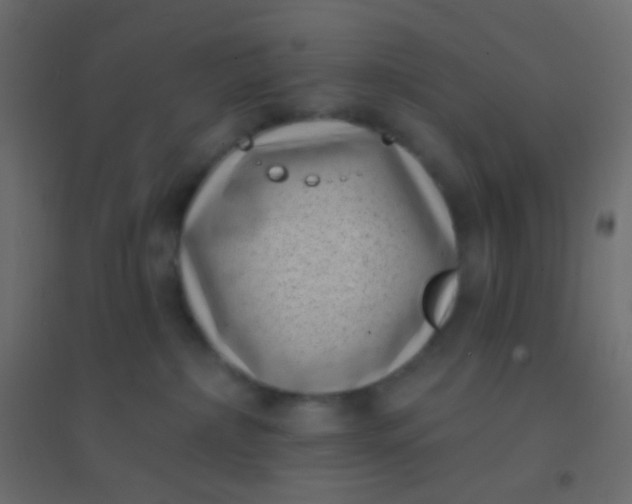 X0000094920236200712131522