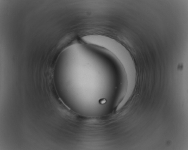 X0000094920237200712131522